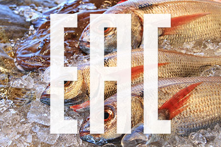 TR EAEU 040/2016 Sulla sicurezza del pesce e dei prodotti ittici
